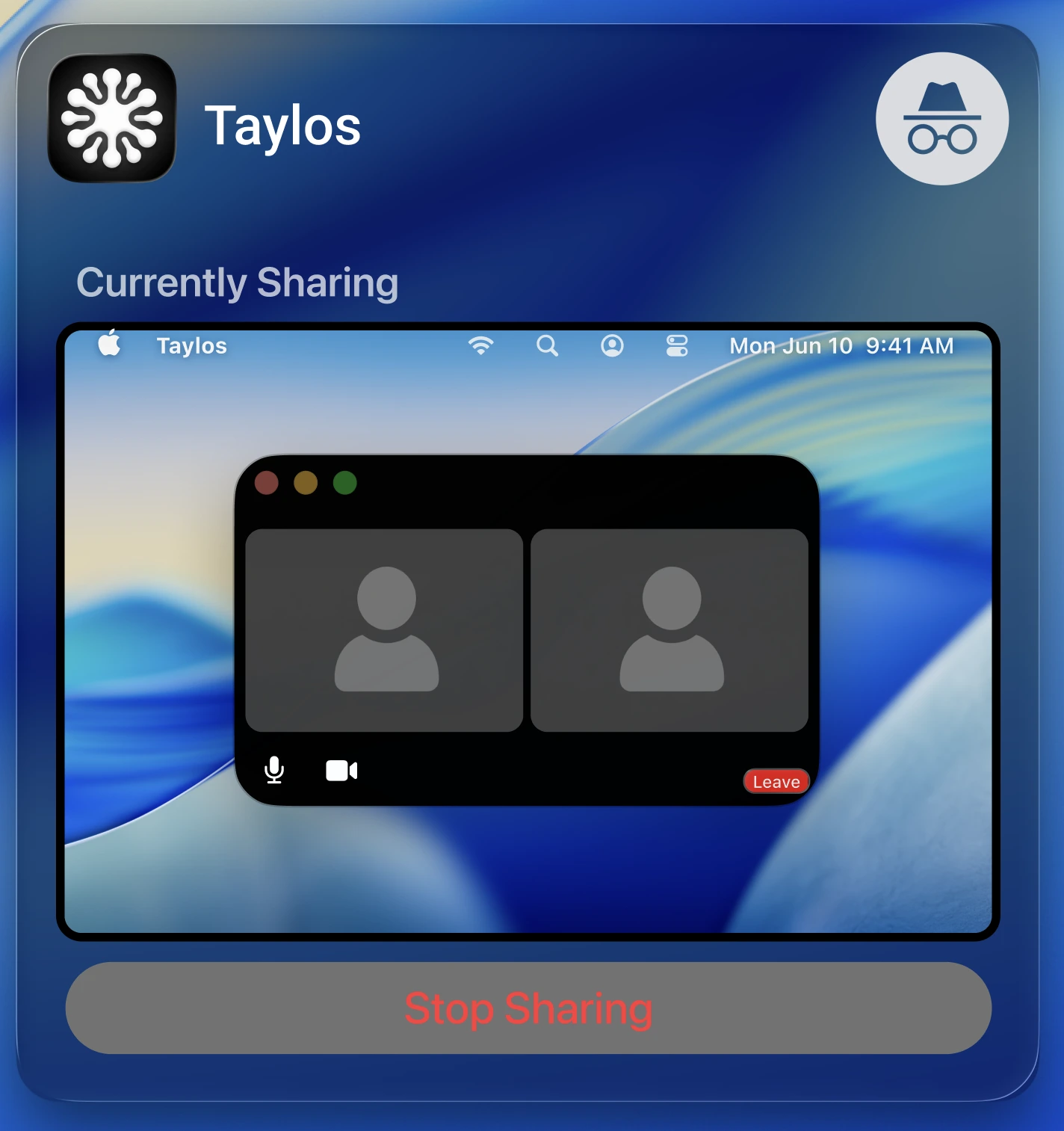 Taylos only visible to you while screen sharing
